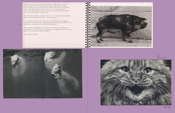 L is for Look Children’s Photobooks