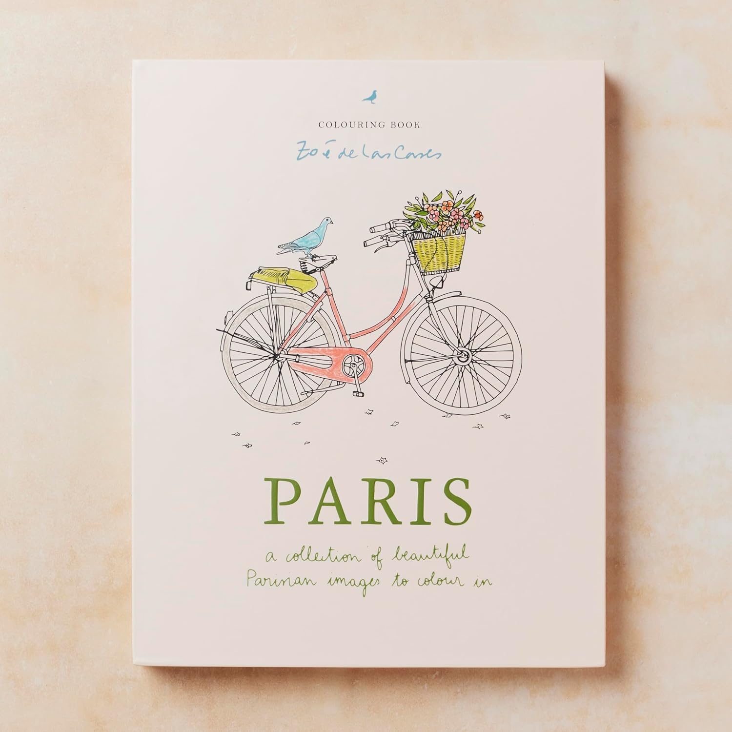Paris: A collection of beautiful Parisian Images to Color In