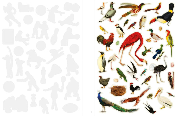 Even More Extraordinary Things to Cut Out and Collage