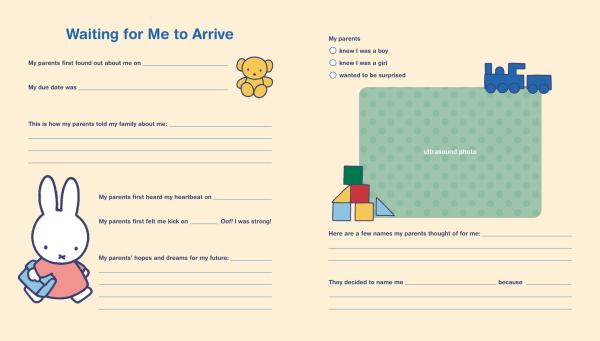 Miffy Baby Book: My First Three Years