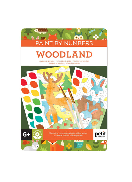Paint by Numbers: Woodland