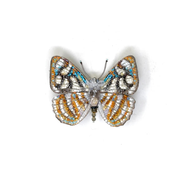 Brooch: Racidula Sailor Butterfly