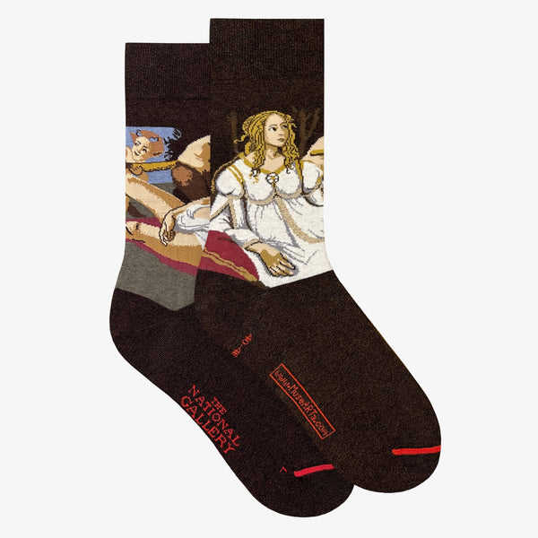 Socks - Sandro Botticelli - Venus and Mars