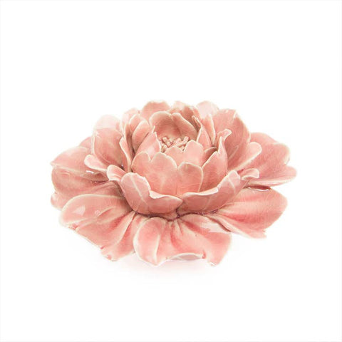 Ceramic Succulent - Rose Pink