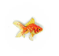 Fantail Goldfish Brooch