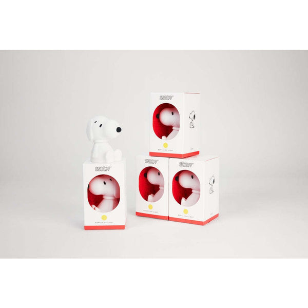 Snoopy Bundle of Light